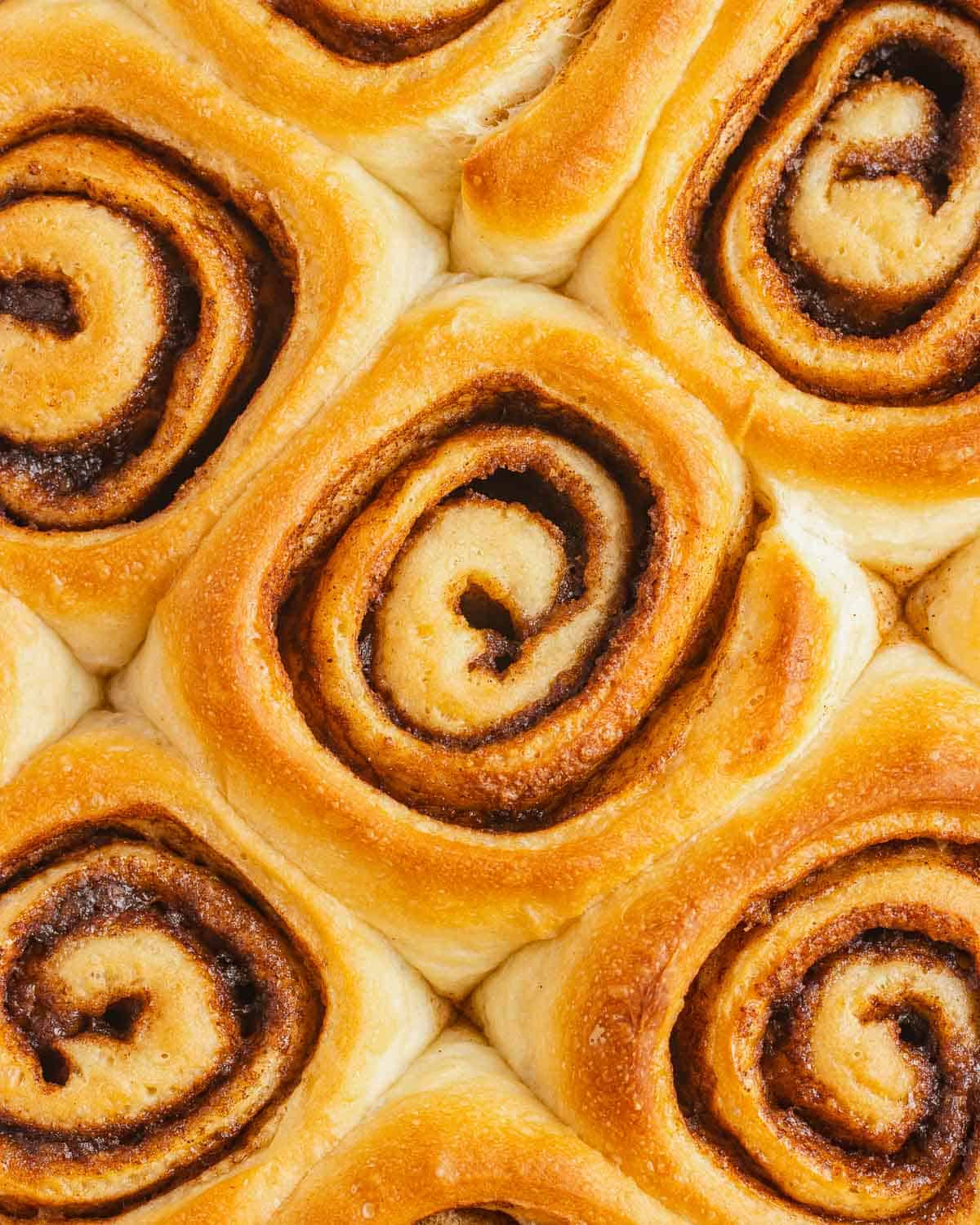 close up of unfrosted vegan cinnamon rolls
