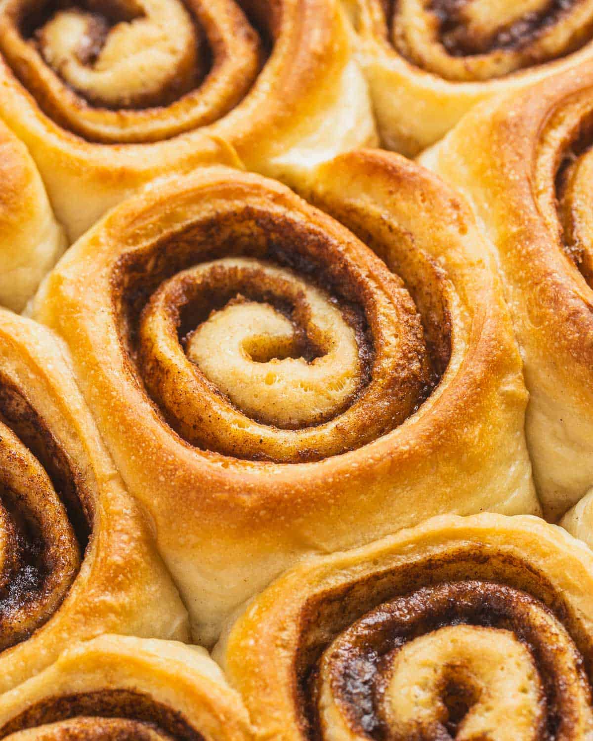 close up of unfrosted vegan cinnamon rolls